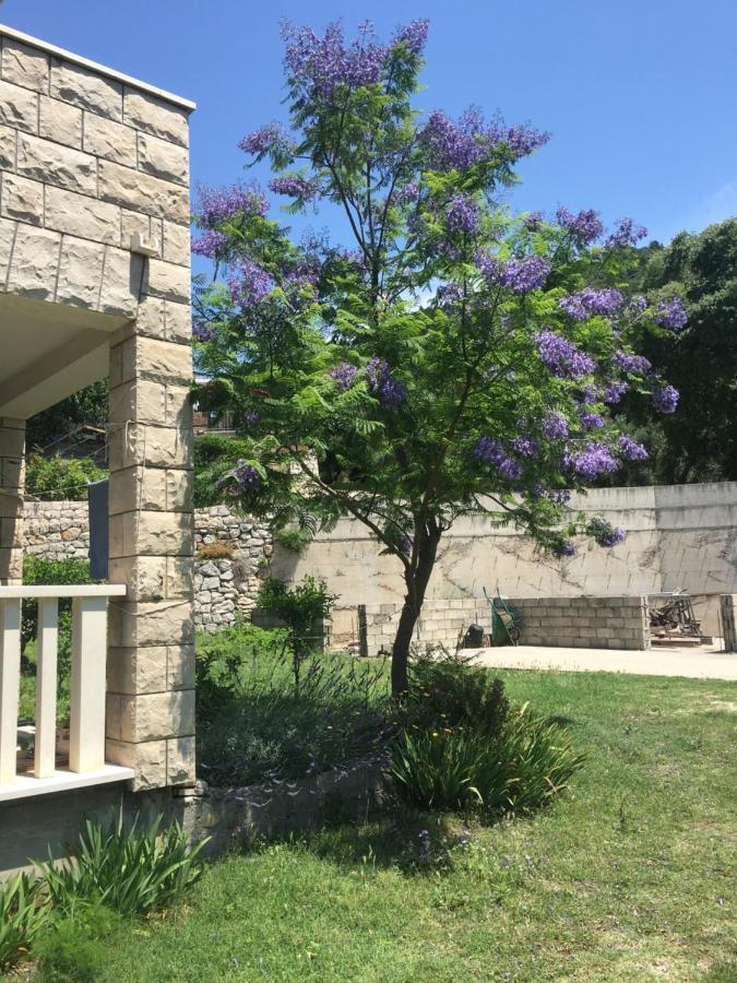 Apartmani Domenika Žuljana Kültér fotó